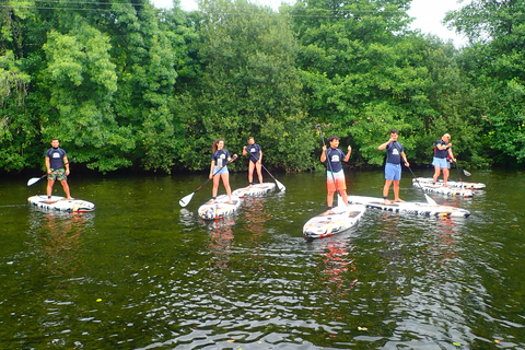 Viana do Castelo : SUP sur la rivière Vez avec options de transfertExpérience SUP avec transfert depuis Porto