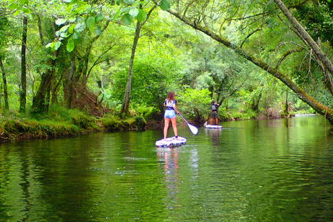 Viana do Castelo: Vez River SUP con opzioni di trasferimentoEsperienza SUP con trasferimento da Braga