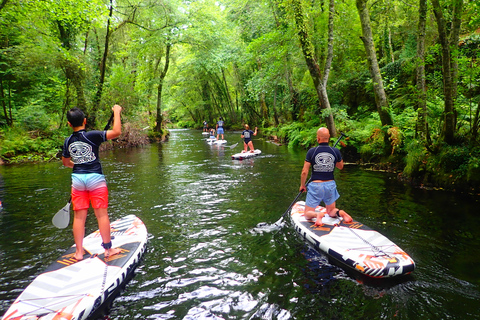 Viana do Castelo: Vez River SUP con opzioni di trasferimentoEsperienza SUP con trasferimento da Braga