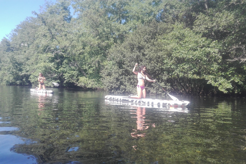 Viana do Castelo : SUP sur la rivière Vez avec options de transfertExpérience SUP avec transfert depuis Porto