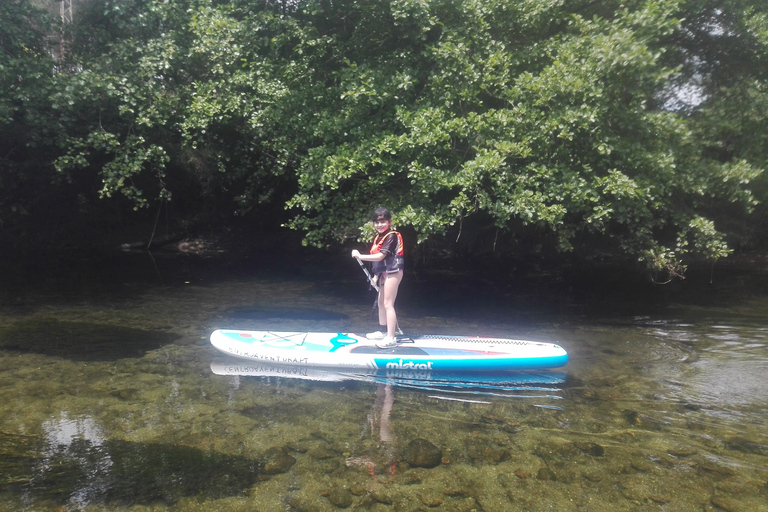 Viana do Castelo : SUP sur la rivière Vez avec options de transfertExpérience SUP avec transfert depuis Porto