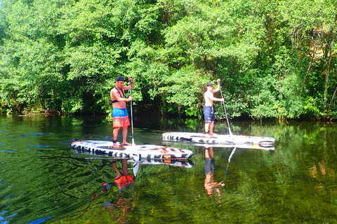 Viana do Castelo: Vez River SUP med transferalternativSUP-upplevelse med transfer från Porto