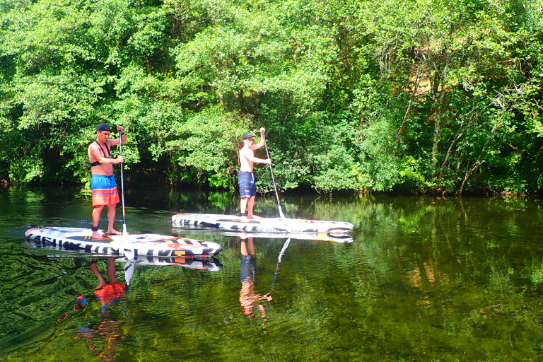 Viana do Castelo: Vez River SUP con opciones de transferenciaExperiencia SUP con traslado desde Oporto