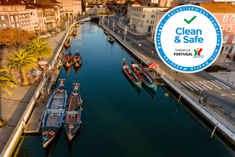 Aveiro: Excursão de Meio Dia com Cruzeiro de Moliceiro