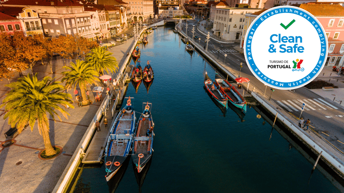 aveiro halfday tour with moliceiro cruise