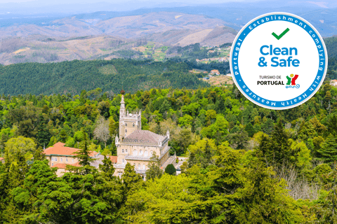 From Porto: Coimbra & Buçaco Full-Day Private Tour