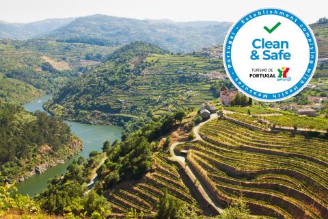 From Porto: Full-Day Douro Valley Wine Tour