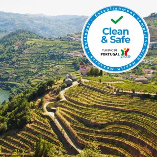 Porto: Full-Day Douro Valley Wine Tour