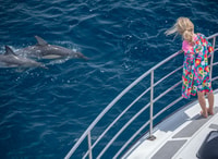De Tauranga, une demi-journée de natation avec les dauphins - Hizvo