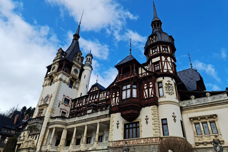 From Brașov: Bear Sanctuary, Dracula's Castle & Peleș Castle