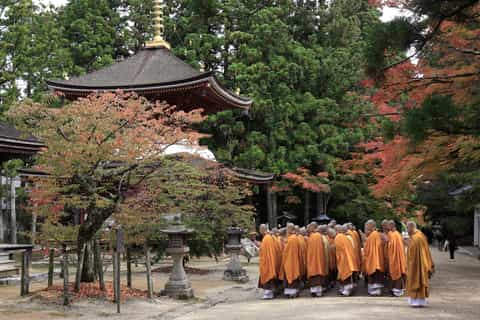 From Kyoto: Day Trip to Mount Koya by Train