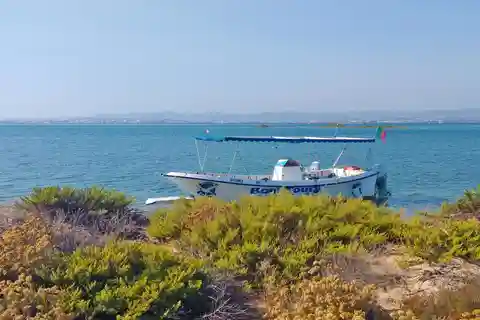 Olhão : Excursion en bateau privé à Ria Formosa