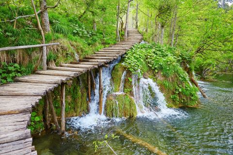 Park Narodowy Plitvice: Prywatna wycieczka z Lublany
