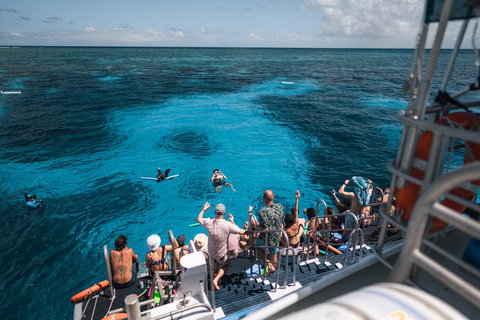 Cairns: tour di 2 giorni della Grande Barriera Corallina e dell&#039;Isola Fitzroy