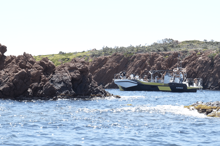 فريجوس: رحلة بحرية Esterel Calanques (قارب مريح) + محطة للسباحة