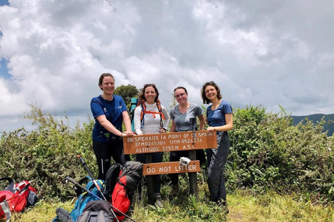 Nairobi: Double Summit Aberdares Day Hike