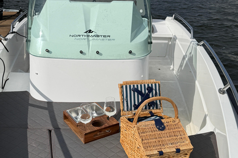 Gdańsk: Private Electric Boat Rental, No License Needed