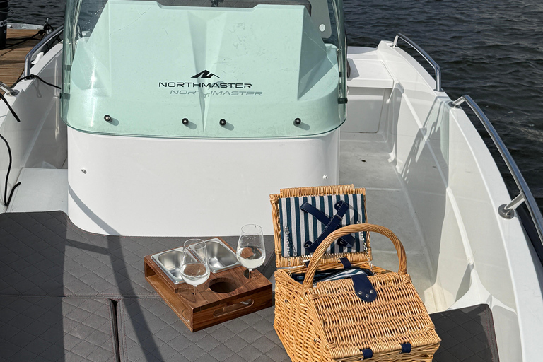 Gdańsk: Private Electric Boat Rental, No License Needed