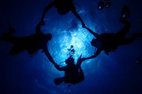 From Luxor: Utopia Island Snorkeling Day Trip