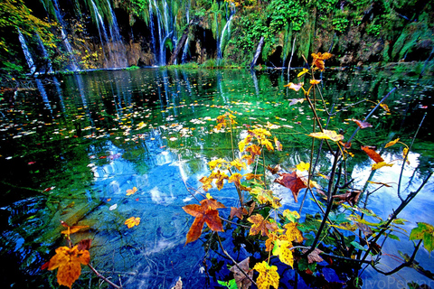 Plitvice Lakes Private Tour from Split