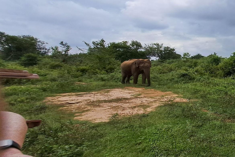 Accessible Vacation Sri Lanka - 10 Days