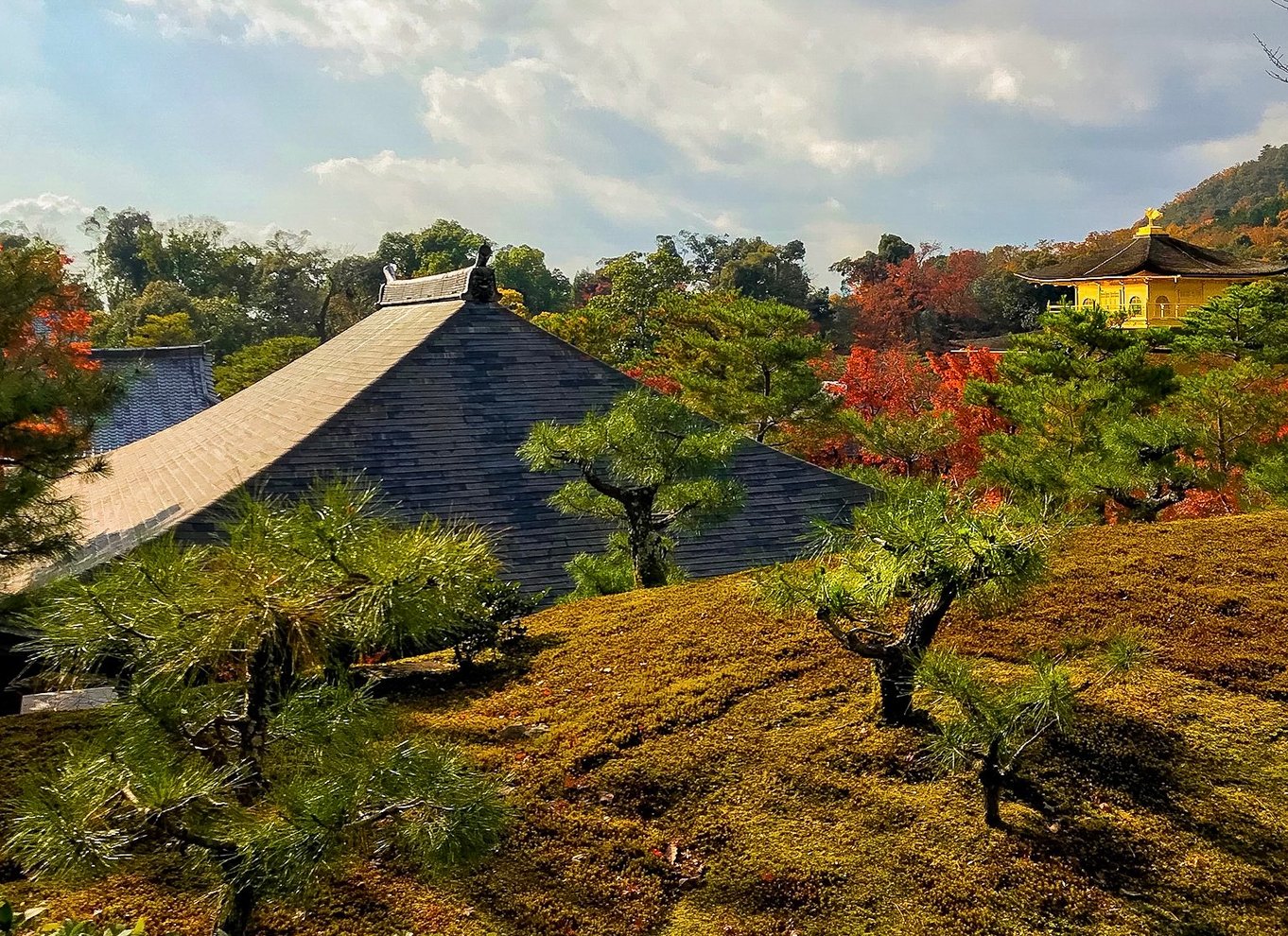 Kyoto: Byens hemmeligheder eBike Tour