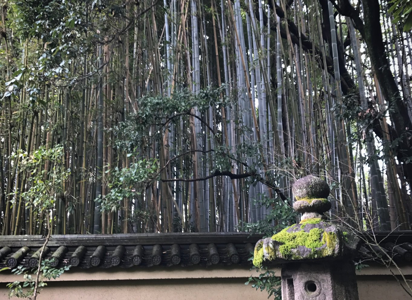 Kyoto: Byens hemmeligheder eBike Tour