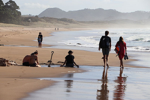 Cathedral Cove, Hot Water Beach, Coromandel Tour ex Auckland