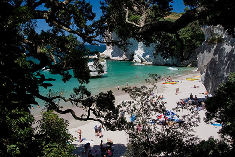 Cathedral Cove, Hot Water Beach, Coromandel Tour ex Auckland