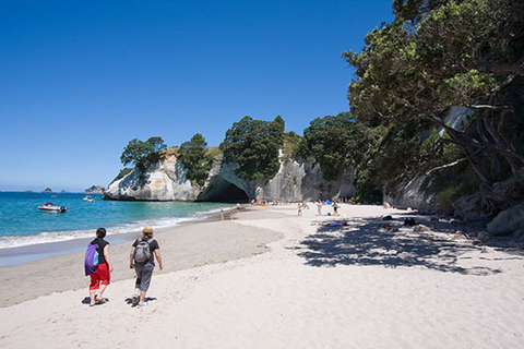Cathedral Cove, Hot Water Beach, Coromandel Tour ex Auckland