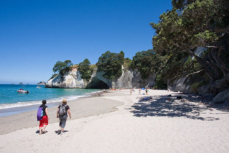 Cathedral Cove, Hot Water Beach, Coromandel Tour ex Auckland