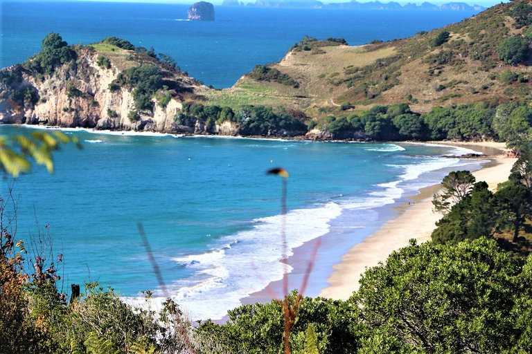 Cathedral Cove, Hot Water Beach, Coromandel Tour ex Auckland