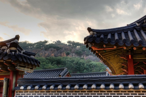 Van Seoul: avondtour naar Hwaseong Fortress UNESCO-siteVan Seoul: avondtour naar Hwaseong-fort UNESCO-site