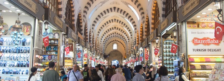 Depuis Kusadasi : Excursion d'une journée à Istanbul avec vols