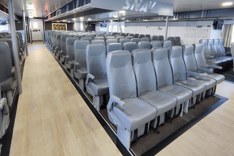 Naples: Ferry Journey between Naples and Capri 1-way Ferry Ticket from Capri to Naples