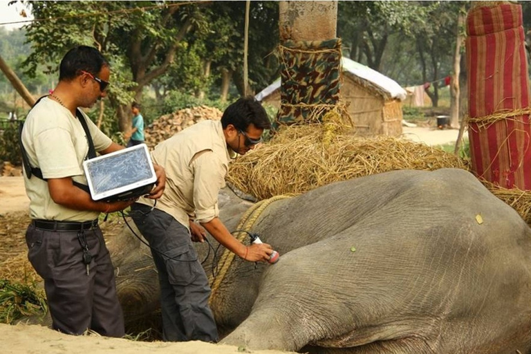 Desde Delhi: viaje al Taj Mahal, Wildlife SOS y el Fuerte de AgraTour sin almuerzo