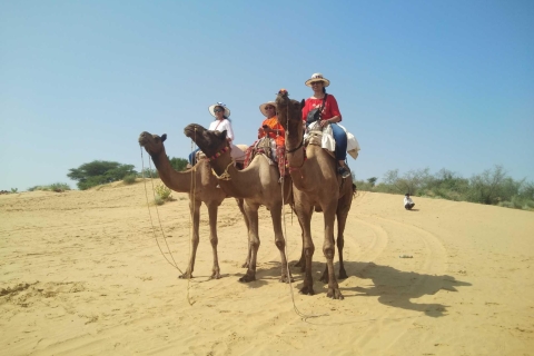 De Jodhpur: excursion guidée d'une journée à Osian avec safari à dos de chameau