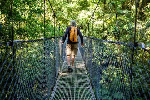 Puntarenas: Rainforest Canopy & River Boat Shore Excursion