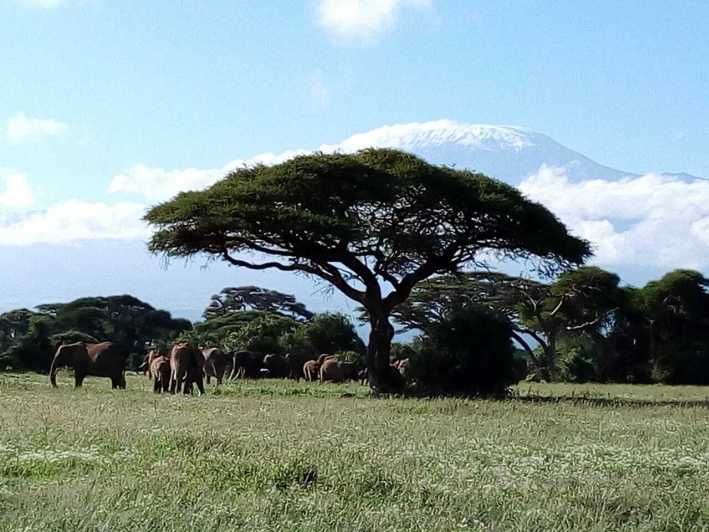 Amboseli National Park: Full-Day Tour from Nairobi