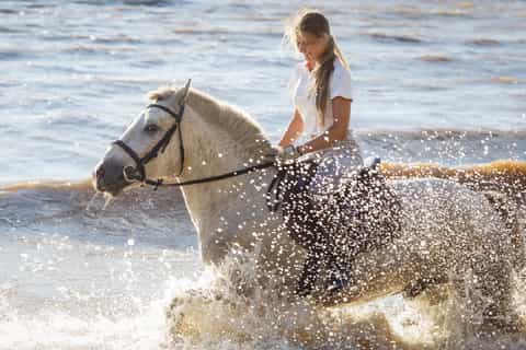 Puntarenas: Horseback Riding & Safari Boat Shore Excursion