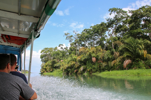 Puntarenas: ATV Adventure and River Boat Shore Excursion Double Rider ATV