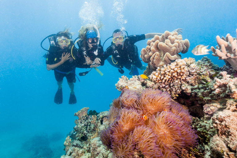 Brisbane to Daintree Whitsundays & Reef 9 Day Comfort Tour Private Single Room (Adults only)