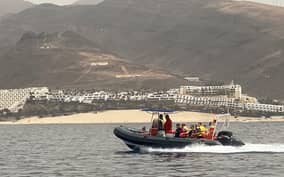 - Canarie.it