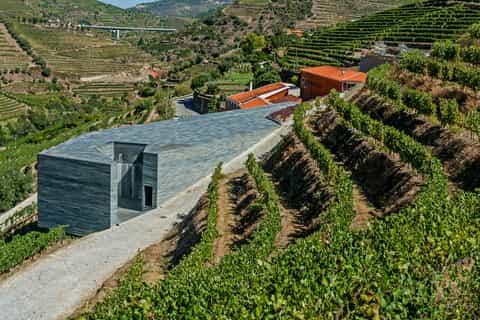vale do douro tour vinícola na quinta do vallado com degustação