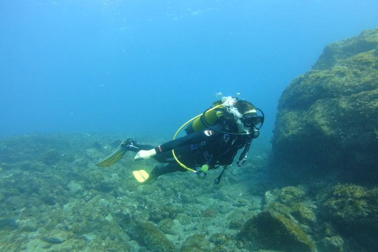 Tenerife: Découvrez la plongée sous-marine avec des photos gratuites