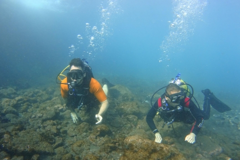 Tenerife: Découvrez la plongée sous-marine avec des photos gratuites