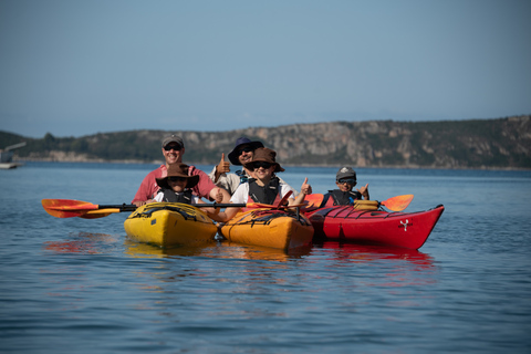 Bahía de Navarino: kayak de mar con almuerzoBahía de Navarino: mar Seaayaking