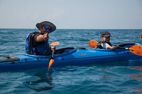 Baia di Navarino: esperienza di kayak e pranzoBaia di Navarino: esperienza di kayak