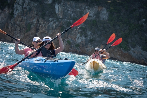 Baie de Navarin : kayak de mer et déjeunerBaie de Navarin : kayak en mer