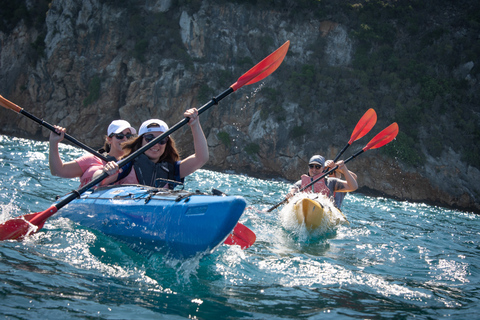 Navarino Bay: Havskajakpaddling med lunchNavarino-bukten: Kajakpaddling till havs